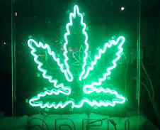 marijuana-sign